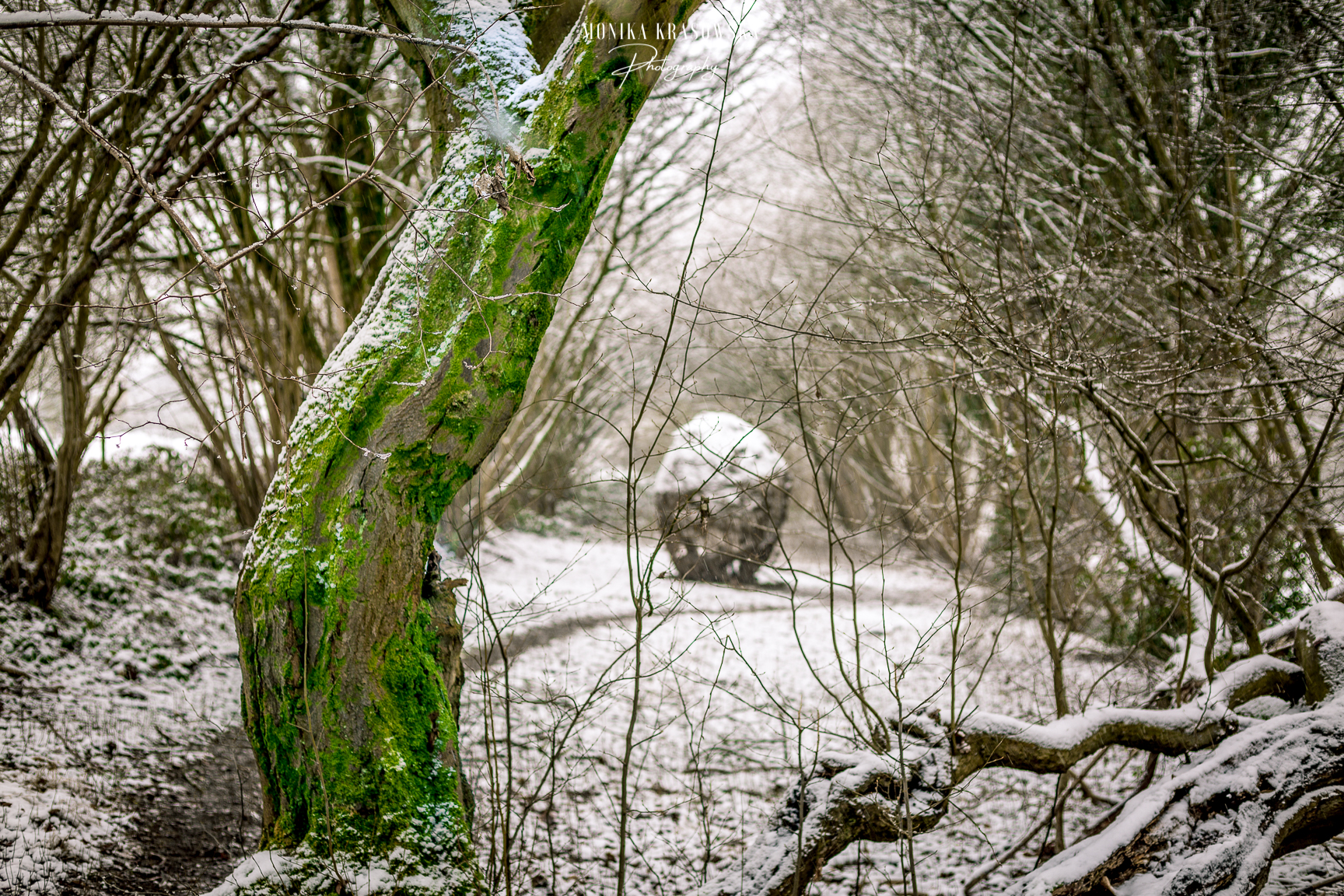 Belgia co warto zobaczyć