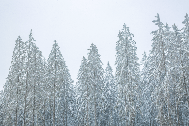 Wakacje w Belgii- Strona główna snieg w belgii