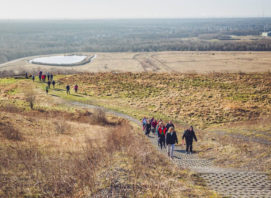 polski przewodnik w Belgii