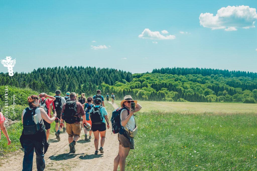 polski przewodnik po belgii